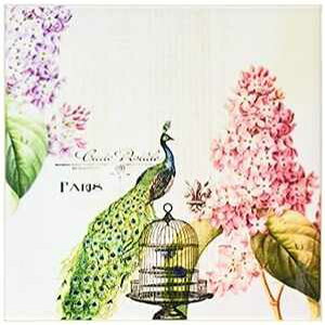 3dRose CST_110312_3 pNWNƃAWTC̉ - Z~bN^CR[X^[A4Zbg 3dRose CST_110312_3 Paris Peacock with Hydrangea F-Ceramic Tile Coasters, Set of 4