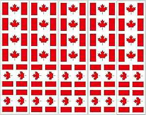 40 ̃^gD[: Ji_̍AJi_̃p[eB[̋LOi PremiumTT temporary tattoos 40 Tattoos: Canada Flag, Canadian Party Favors