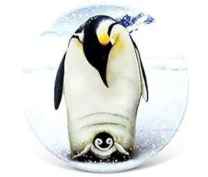 CoTa Global zCg&ubNyM Z~bNR[X^[ 4C` GōאS̒ӂ𕥂A[g  mxeB KXi v[gR[X^[ ɓe[} z[&Lb`