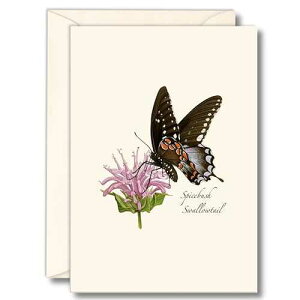 Earth Sky + Water - Spicebush Swallowtail m[gJ[hZbg - tuNJ[h 8  Earth Sky + Water - Spicebush Swallowtail Notecard Set - 8 Blank Cards with Envelopes