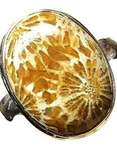 VRChlVAY΃TS 925 \bh X^[O Vo[ O TCY 7.75 Natural Rocks by Kala Natural Indonesian Fossil Coral 925 Solid Sterling Silver Ring Size 7.75