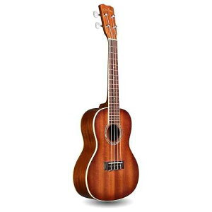Cordoba 15CM-E Acoustic-Electric Concert Ukulele - Hand Crafted With Mahogany Top, Back & Sides & Edge Burst Finish - Full, Rich Sound & Premium Italian Aquila Strings - For Beginners & Professionals