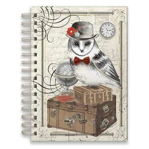 office_product Book, Punch Studio Stationery Spiral Bound Lined Journal Traveling Owl