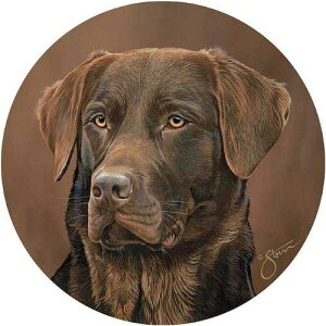Wild Wings Chocolate Lab Coasters
