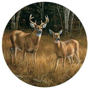 ���[�Y�}���[�E�~���b�g��̃I�W�����R�[�X�^�[ Wild Wings Whitetail Deer Coasters by Rosemary Millette