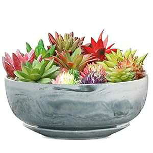 G EPGardening 8C` 嗝Ζ͗l ^ Eh A v^[ |bg _ t[|bg Opv^[ 嗝΃gCt G EPGardening 8in Marble Pattern Large Round Succulent Planter Pot Mode