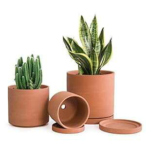 D'vine Dev ApeRb^|bgA4.2 C` 5.3 C` 6.5 C`ArƎ󂯎MtAv^[|bgA40-AS-1 D'vine Dev Terracotta Pots for Plants, 4.2 Inch 5.3 Inch 6.5 Inch, Succulent Planter Pot with 