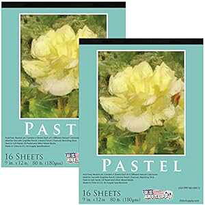 US Art Supply 9C` x 12C` v~ApXey[p[pbhA80|h (180gsm)Ai`g[J[lߍ킹A16pbh (pbh2pbN) US Art Supply U.S. Art Supply 9" x 12" Prem