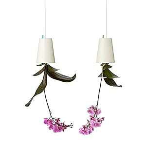 SYOOY 2 PCS t܃v^[ ݂艺Aؔv^[ oRj[  z[fR[Vp (zCg) SYOOY 2 PCS Upside-Down Planter Hanging Flower Pot Planter for Balcony Garden Home Decoration (White)