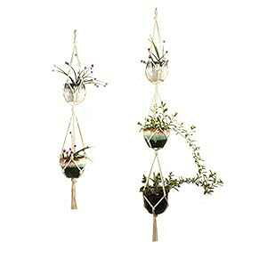 Vvȃ_uvgnK[O݂艺v^[oXPbgAAReiANZT[bN-ȃ[v4r2i3i(Aؔ5T|[g)2pbN DODXIAOBEUL Simple Double Plant Hanger I