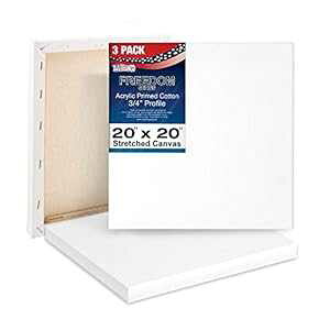 U.S. Art Supply 20 x 20 inch Stretched Canvas 12-Ounce Triple Primed, 3-Pack - Professional Artist Quality White Blank 3/4" Profile, 100% Cotton, Heavy-Weight Gesso - Acrylic Pouring, Oil ting