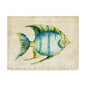 商標ファインアート アクアリウムフィッシュ I Chariklia Zarris 作、18x24 Trademark Fine Art Aquarium Fish I by Chariklia Zarris, 18x24