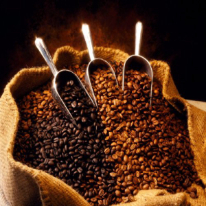 15ポンドのホールビーンズ ダークロースト エスプレッソ パプアニューギニアオーガニックエステートコーヒービーンズ RhoadsRoast Coffees 15 Espresso Dark Whole Beans pounds 国内即発送 Roast 《週末限定タイムセール》