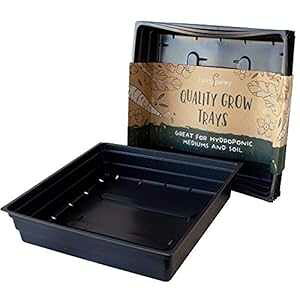 ϋv̂鍕FvX`bN萬gC (rt) 10 pbN 10 C` x 10 C` x 2 C` - K[fjO: ԁA}CNO[AEB[gOXAc؁AA Handy Pantry 10 Pack of 