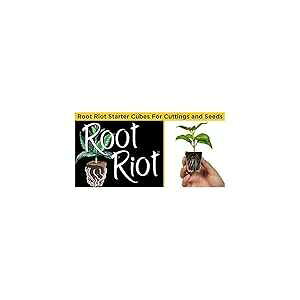 ���̗͊w Root Riot �����v���O (50) HYDRO DYNAMICS Hydrodynamics Root Riot Replacement Plug(s) (50)