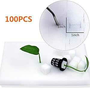 100 kX|W kqAtK[fjOc[ X|W ێysgp؍͔| pK[fjOc[ ȉ̐܂͕c̐ (1) PRUNS 100Pcs Hydroponic Sponge Hydroponic Seeds
