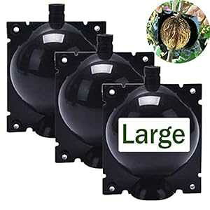 7Queen 3pbN ^A{bNX Au {[ - ėp\ȐAuAɐB{bNX ڂ؃vX`bNA ܂܂ȐA̐ɐBp 7Queen 3Pack Large Plant Root Growi