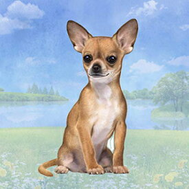E&S Pets Chihuahua (Tan Sitting) Tabletop Drink Coaster (1)