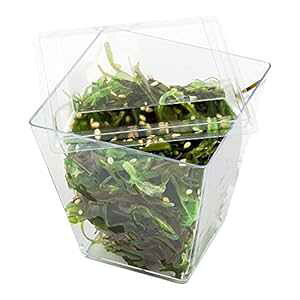 XgEFAŴ: ^8IXKova􉽊wJbvp100CTĝēW: fU[gAO؁AXibNTv̒񋟂ɍœK - TCN\ȃvX`bNWAJbv͕ʔł Restaur