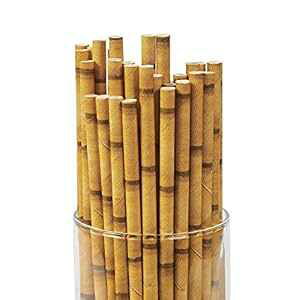 Tiki ou[ vg oCIfOx[ y[p[ Xg[ - }`pbN (24) Tikizone Tiki Bamboo Print Biodegrabale Paper Straws - Multi Packs (24)