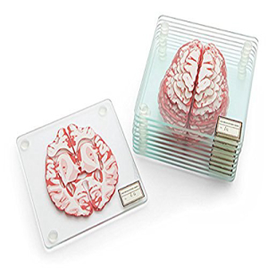 解剖学的脳標本コースター 10個セット Generix Geek Anatomic Brain of pieces ベビーグッズも大集合 10 Set Coasters 【60%OFF!】 Specimen
