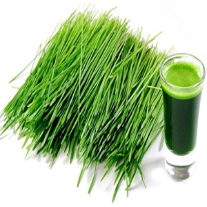 Z Natural Foods Organic Barley Grass Juice Powder - 5 lb Bulk Size Amazing Green Superfood Vitamins Perfect GMO 【超ポイントバック祭】 Recipes Drinks Minerals Antioxidants Raw Vegan In ラッピング不可 For Smoothies Rich Non