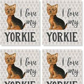 Carson Yorkie Square House Coaster Set