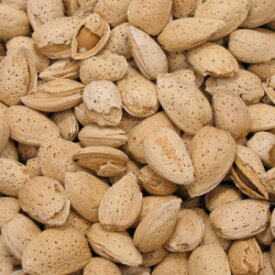 殻付きジャンボ カリフォルニア アーモンド – We Got Nuts の 5 ポンド (80 オンス) プレミアム品質のコーシャー生アーモンド – ナチュラルでヘルシーなリッチな風味のスナック – 丸ごと、無塩 – Jumbo California Almonds In Shell – 5 lbs