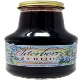 荒野のワイルドエルダーベリーシロップ12オンスを味わう Taste the Wilderness Wild Elderberry Syrup 12 oz