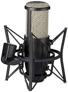 AKG Pro Audio Pro Audio Perception 220 Professional Studio Microphone, Silver Blue