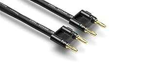 Hosa SKJ-603BB �f���A�� �o�i�i - �f���A�� �o�i�i �X�s�[�J�[ �P�[�u���A3 �t�B�[�g Hosa SKJ-603BB Dual Banana to Dual Banana Speaker Cable, 3 Feet