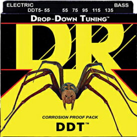 DR Strings DDT アコースティックギター弦 (DDT5-55) DR Strings DDT Acoustic Guitar Strings (DDT5-55)
