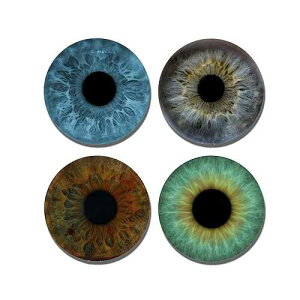 hNR[X^[ ? A\[gAC{[J[ ? 4 s[XZbg lIv ? t@ubNgbv Neurons Not Included Drink Coasters - Assorted Eyeball Colors - 4 Piece Set Neoprene - Fabric Top