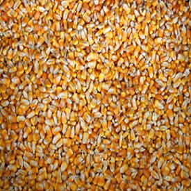 4ポンドの非GMO全粒飼料トウモロコシ-米国製 CZ Grain 4 Pounds Non-GMO Whole Kernel Feed Corn - Made in USA