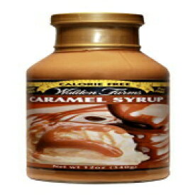 Walden Farms Caramel SYRUP-シュガーフリー、カロリーフリー、ファットフリー、カーボフリー、グルテンフリー-6ボトル Walden Farms Caramel SYRUP - Sugar Free, Calorie Free, Fat Free, Carb Free, Gluten Free - 6 Bottle