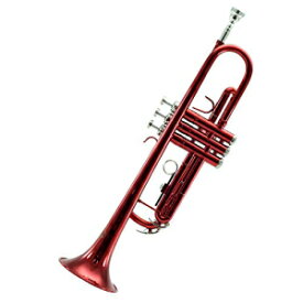スカイトランペット - ベース (SKYVTR101-RD1) Sky Trumpet - Bass (SKYVTR101-RD1)