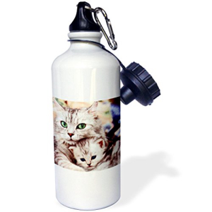 3dRose wb_304_1 Cats Sportsウォーターボトル、21オンス、ホワイト 3dRose wb_304_1 Cats Sports Water Bottle, 21 oz, White