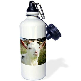3dRose wb_21366_1「ファーム アニマルズ ゴート」スポーツ ウォーター ボトル、21 オンス、ホワイト 3dRose wb_21366_1"Farm Animals Goat" Sports Water Bottle, 21 oz, White