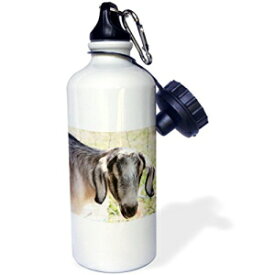 3dRose wb_43941_1"Farm Goat-Animals-Nature" スポーツ ウォーター ボトル、21 オンス、ホワイト 3dRose wb_43941_1"Farm Goat-Animals-Nature" Sports Water Bottle, 21 oz, White