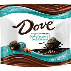 DOVE PROMISES シーソルト & キャラメル ダーク チョコレート キャンディ 7.61 オンス バッグ (8 個パック) DOVE PROMISES Sea Salt & Caramel Dark Chocolate Candy 7.61-Ounce Bag (Pack of 8)