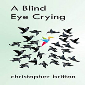 洋書 Paperback, A Blind Eye Crying