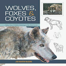 洋書 Paperback, Wolves, Foxes & Coyotes (Wildlife ting Basics)