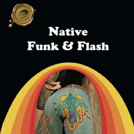 洋書 Native Funk & Flash: An Emerging Folk Art