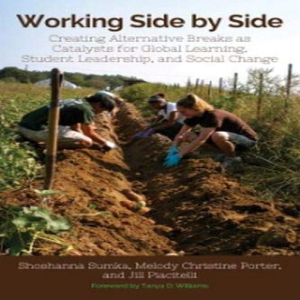 洋書 Working Side by Side: Creating Alternative Breaks as Catalysts for Global Learning Student Leadership and Social Changeのサムネイル