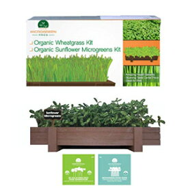 有機マイクログリーン栽培キットには、美しい木製カウンタートッププランター、土壌、有機ヒマワリ、2つの作物用の混合マイクログリーン種子が含まれています。成長することを 100% 保証します。 Organic Microgreens Growing Kit with Beautiful Wooden Countert