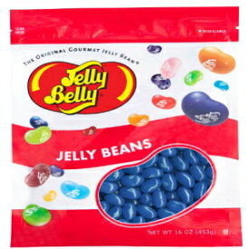 ジェリーベリーブルーベリージェリービーンズ-1ポンド（16オンス）再封可能バッグ-本物、公式、ソースから直接 Jelly Belly Blueberry Jelly Beans - 1 Pound (16 Ounces) Resealable Bag - Genuine, Official, Straight from the Source