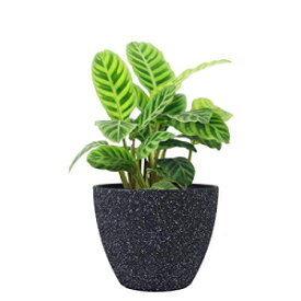 フラワーポット屋内屋外プランター - 排水付き8.6インチプランターポット、モダンなプラントポット、斑点のあるブラック Flower Pots Indoor Outdoor Planter - 8.6 Inch Planter Pot with Drainage, Modern Plant Pot, Speckled-Black