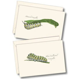 Earth Sky + Water - Caterpillar アソートメント ノートカード セット - 封筒付きブランクカード 8 枚 (2 スタイル各 4 枚) Earth Sky + Water - Caterpillar Assortment Notecard Set - 8 Blank Cards with Envelopes (4 each of 2