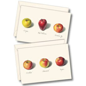 Earth Sky + Water - Apple アソートメントノートカードセット - 封筒付きブランクカード 8 枚 (2 スタイル各 4 枚) Earth Sky + Water - Apple Assortment Notecard Set - 8 Blank Cards with Envelopes (4 each of 2 styles)