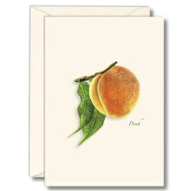 Earth Sky + Water - ピーチ ノートカード セット - 封筒付きブランク カード 8 枚 Earth Sky + Water - Peach Notecard Set - 8 Blank Cards with Envelopes